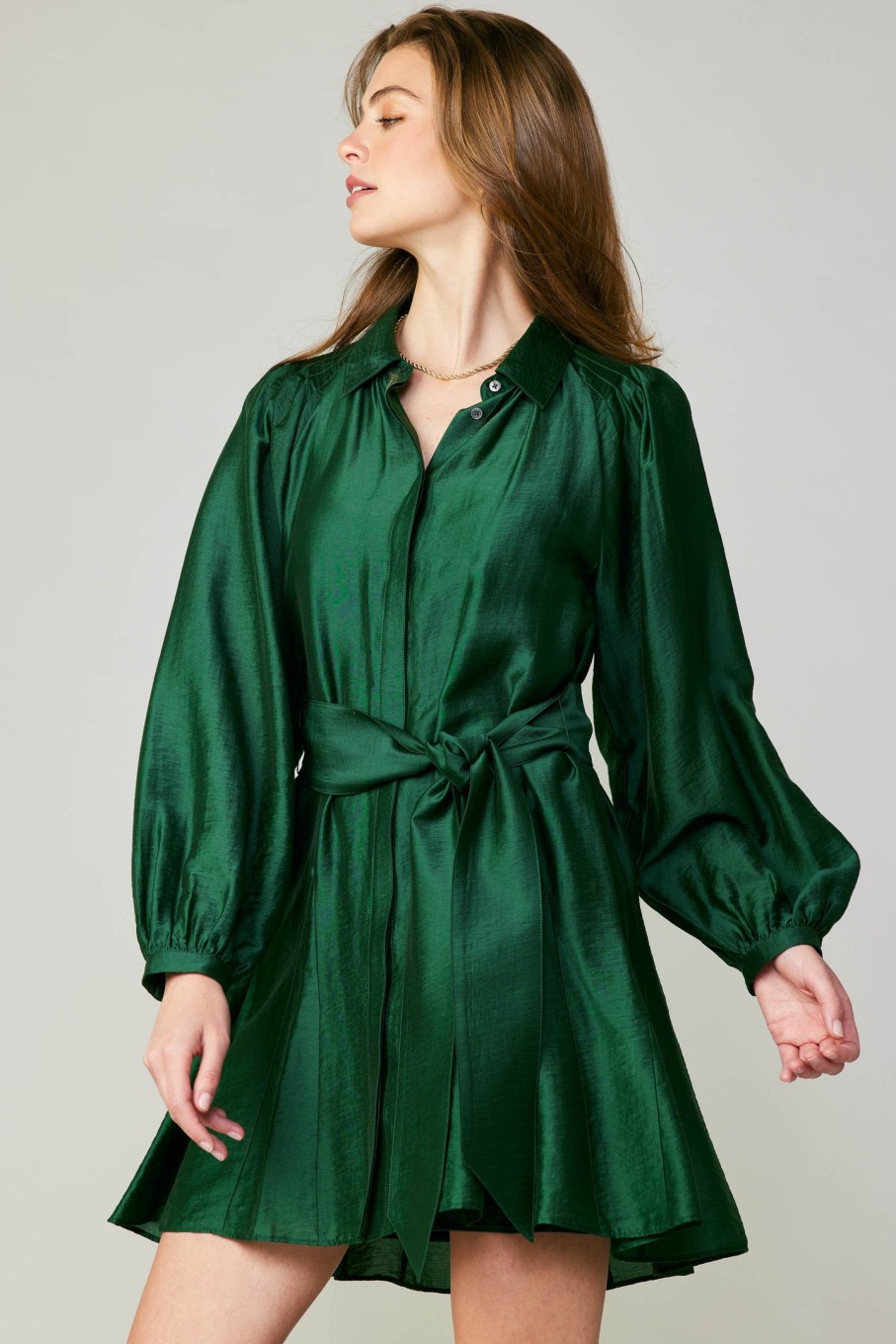 CURRENT AIR Lustrous Belted Mini Dress Mini Dresses