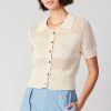 CURRENT AIR Cropped Knit Top Sweaters