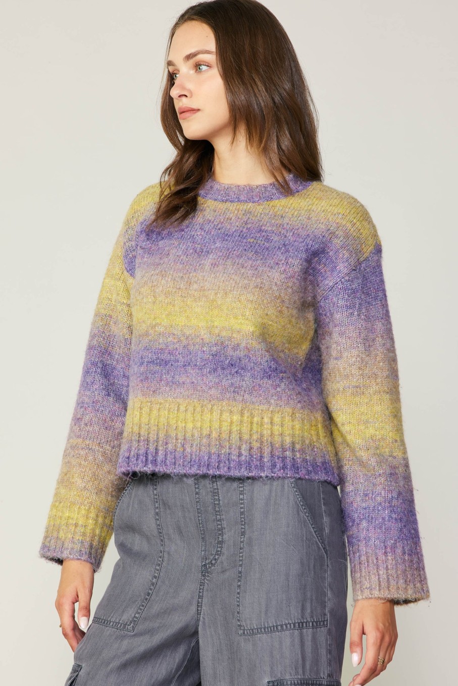 CURRENT AIR Gradient Sweater Top Knitwear